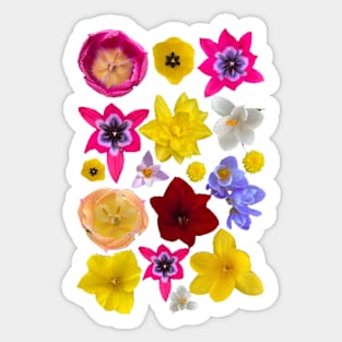 So Many Flowers Sticker